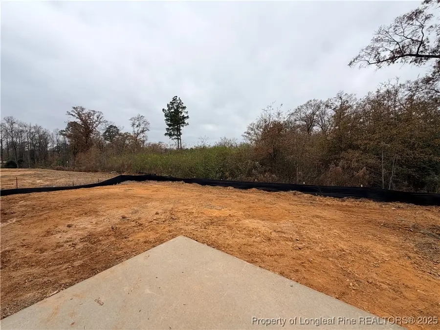 166 Brickendon (lot 276) Lane, Raeford, NC 28376 - Image #3