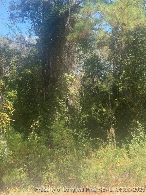 2907 Midland Court, Fayetteville, NC 28306 - Image #2