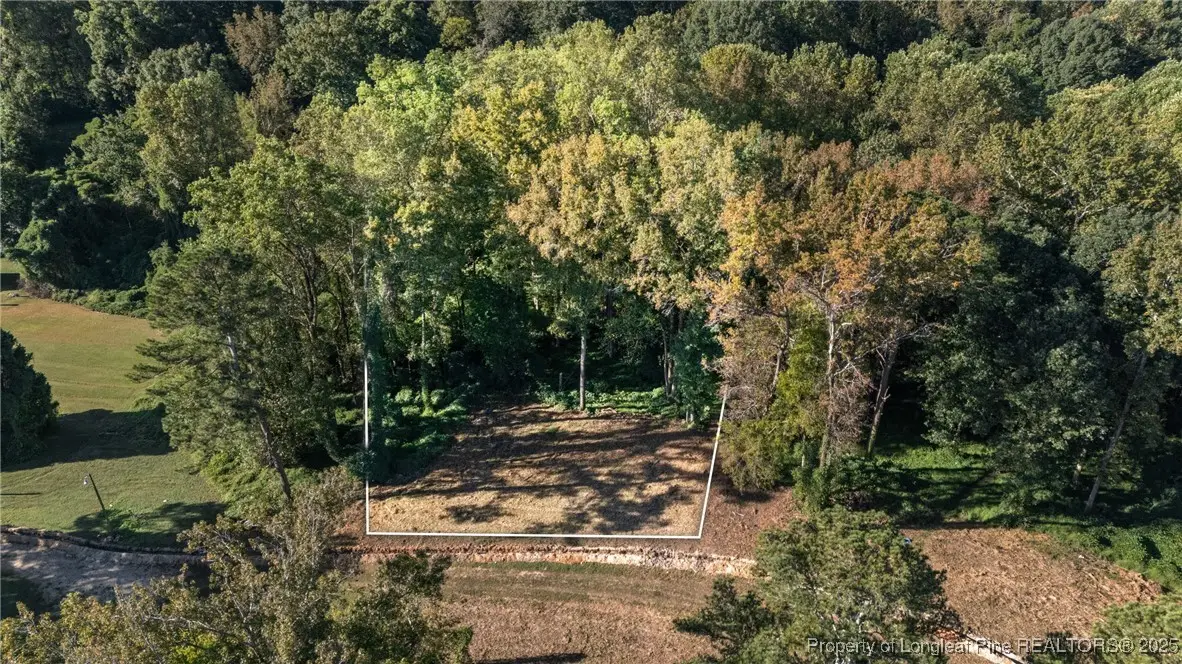 0 Fire Department Road, Wilsons Mills, NC 27527 - Image #1