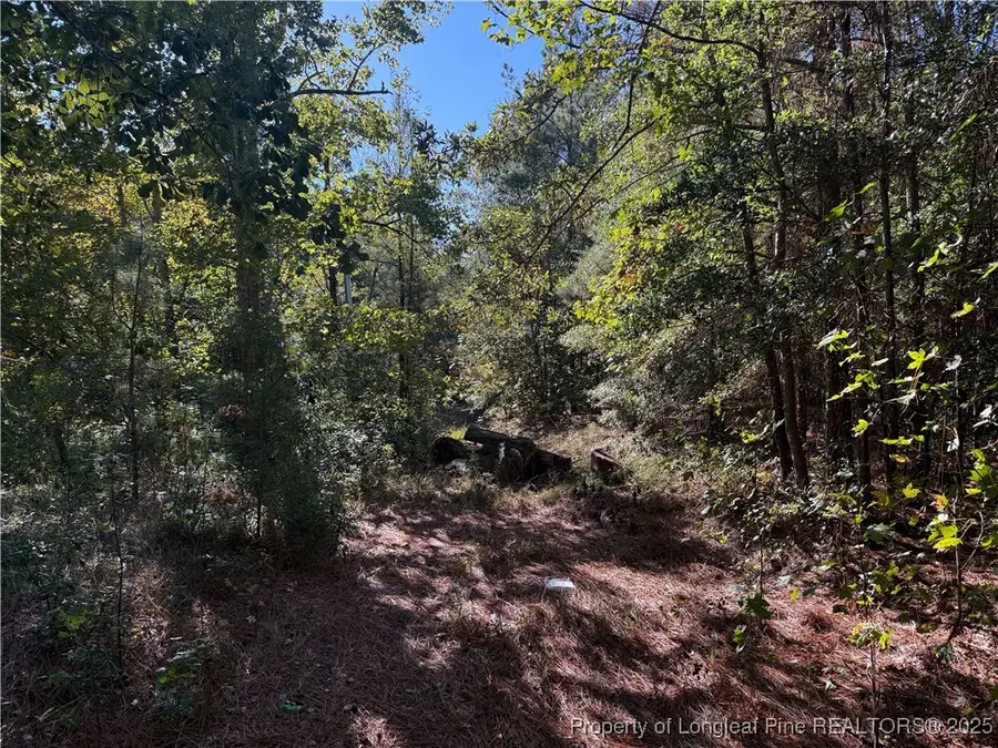 2608 Blowing Rock Court, Hope Mills, NC 28348 - Image #2