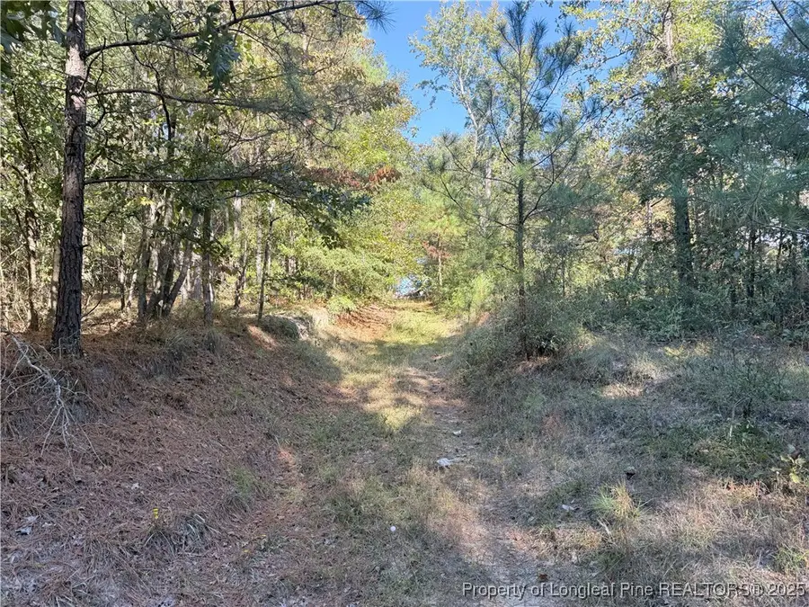 2608 Blowing Rock Court, Hope Mills, NC 28348 - Image #3