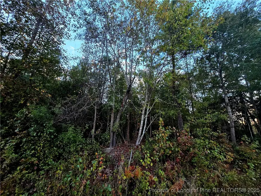 Walker Road, Linden, NC 28356 - Image #2