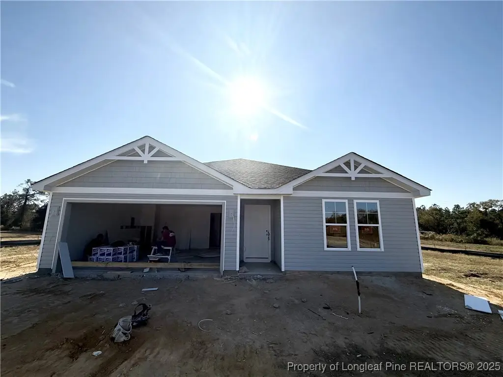 265 Buggy Top Lane, Autryville, NC 28318 - #1