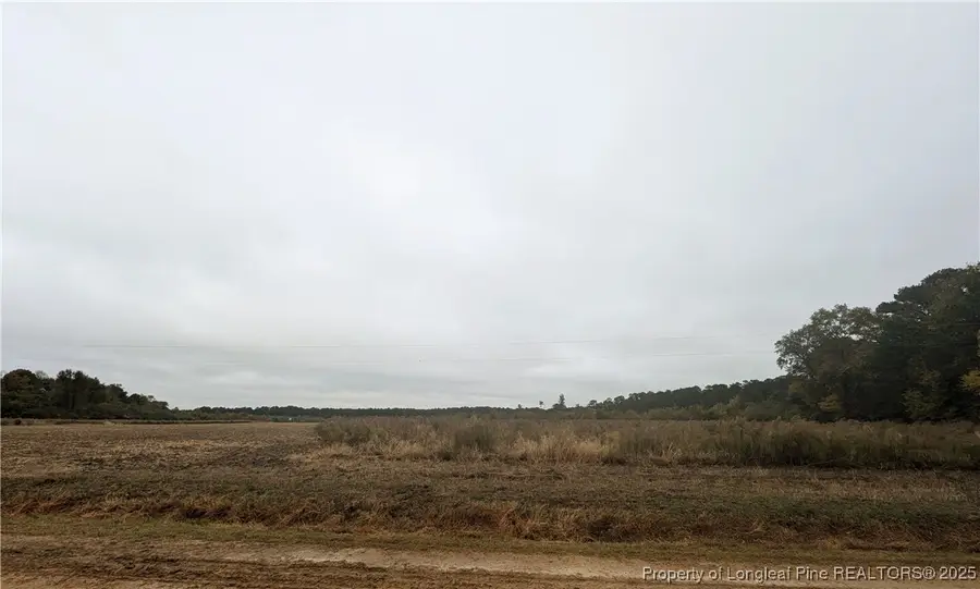 Triple B Lane, Autryville, NC 28318 - Image #3