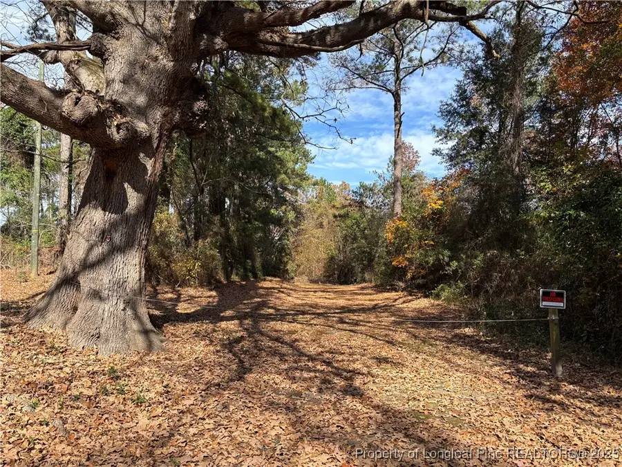 Wilma Street, Fayetteville, NC 28301 - Image #3