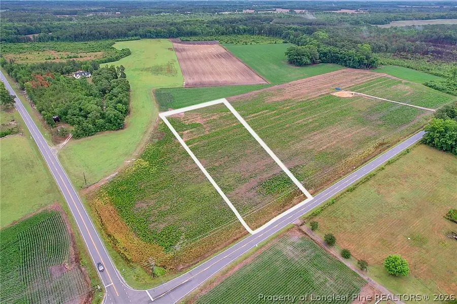 Lot 4 Buie Philadelphus Road, Red Springs, NC 28377 - #2