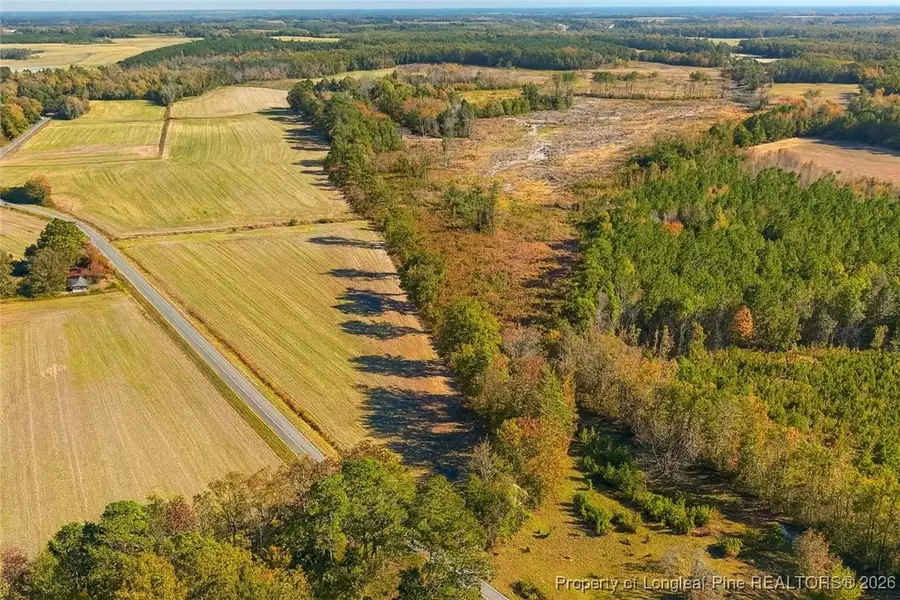 Lot 5 Barnesville Church Road, Orrum, NC 28369 - Image #3