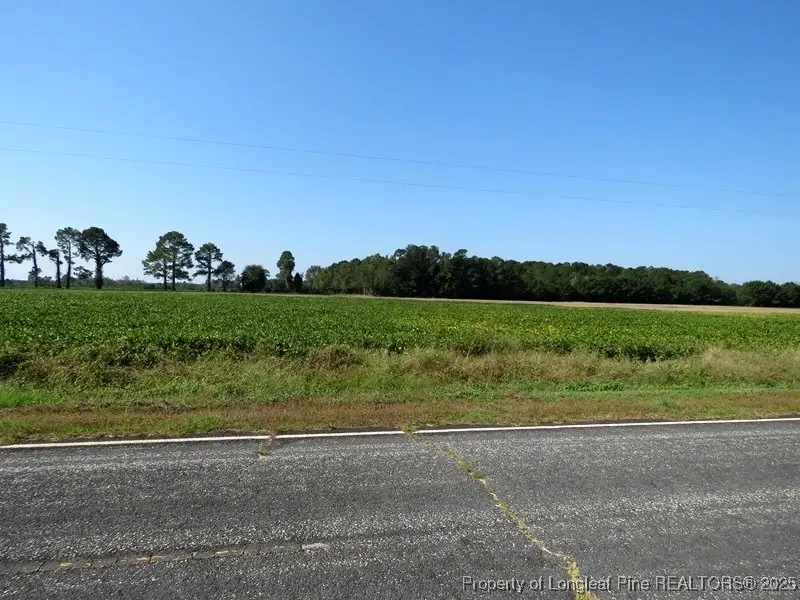 TBD Cowpen Swamp Road, Fairmont, NC 28340 - #2