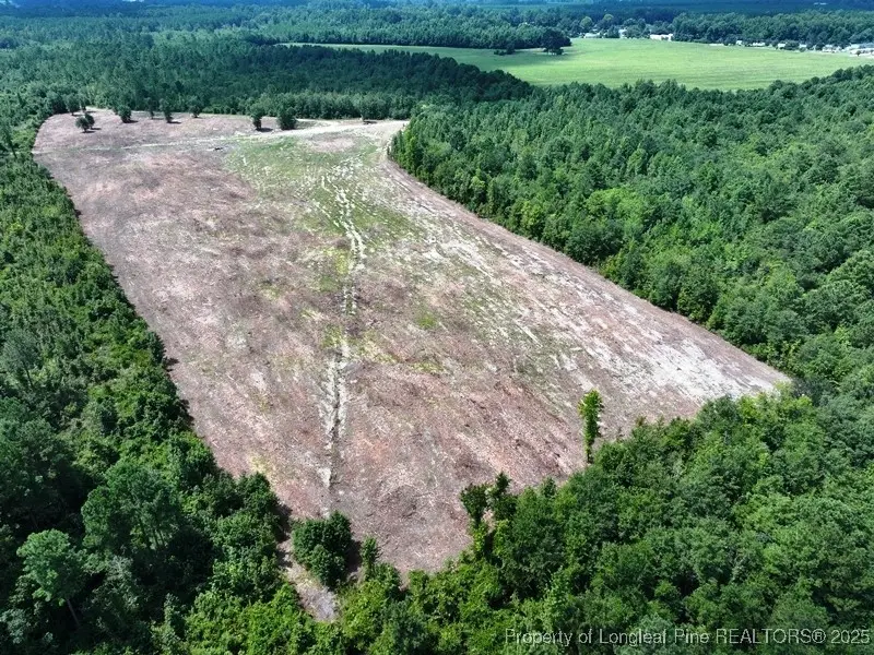 TBD Alamac (off Of) Road, Lumberton, NC 28358 - Image #2