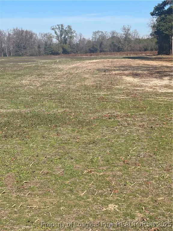 Tobacco Road, Orrum, NC 28369 - Image #2