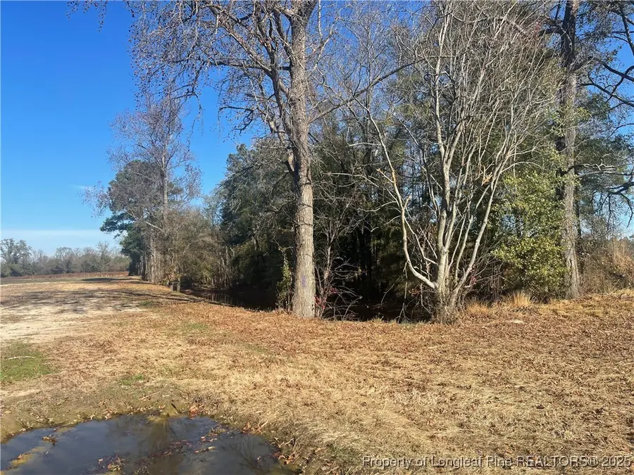 Tobacco Road, Orrum, NC 28369 - Image #3