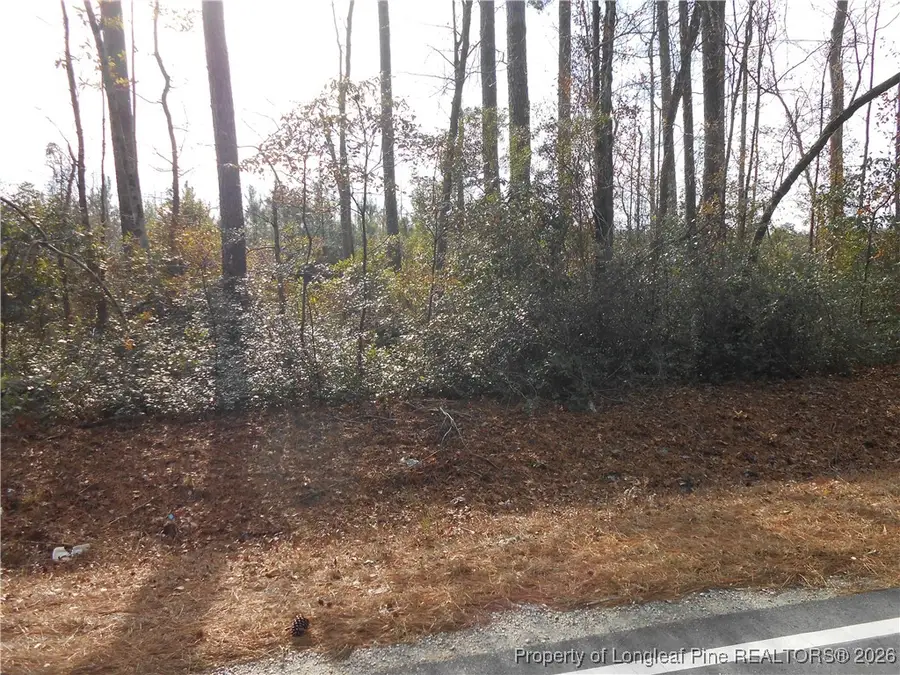 Great Marsh Church Road, Saint Pauls, NC 28384 - Image #3