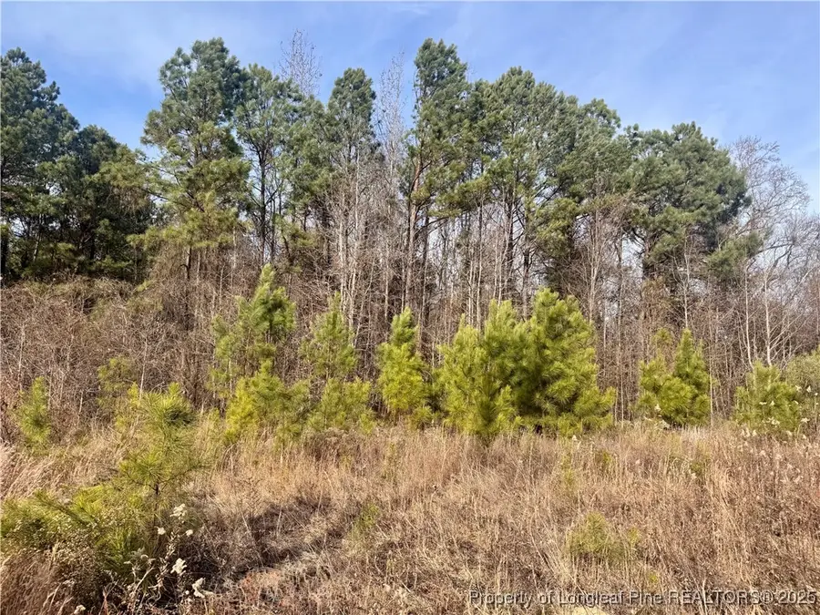 0 Tramway Road, Sanford, NC 27330 - #3