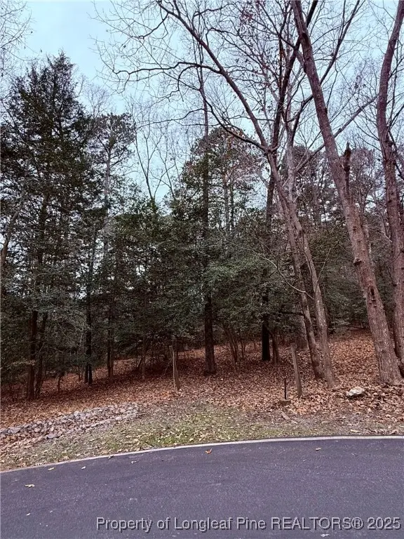 5018 Mockingbird Lane N, Sanford, NC 27332 - #2