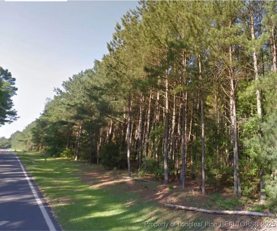 TBD Bostic (lot 14) Road, Laurinburg, NC 28352 - Image #2