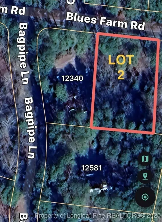 TBD Blues Farm (lot 2) Road, Laurinburg, NC 28352 - Image #1
