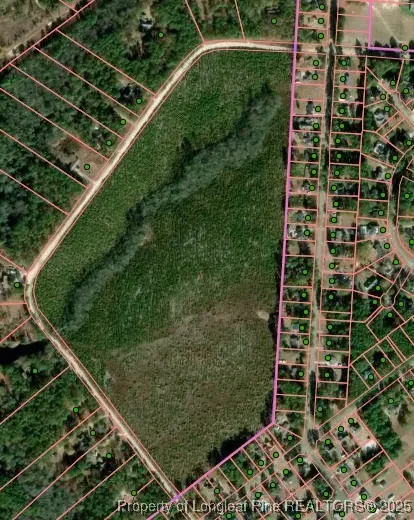 TBD Plantation Road, Laurinburg, NC 28352 - #3