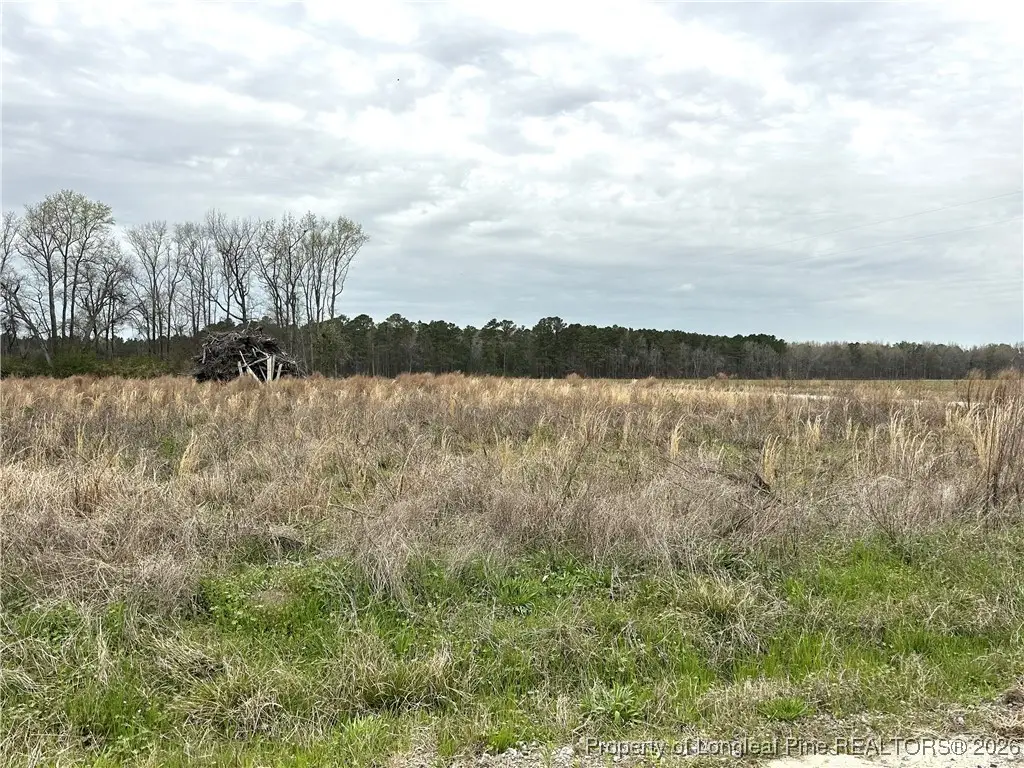 Costner Road, Lumber Bridge, NC 28357 - #1