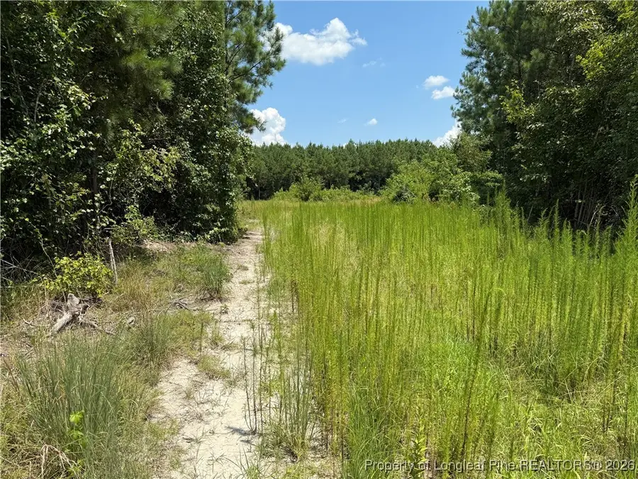 0 Tabor Church Road, Fayetteville, NC 28312 - Image #3