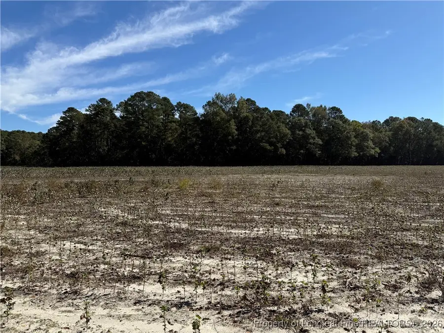 Leggett Road, Fairmont, NC 28340 - Image #3