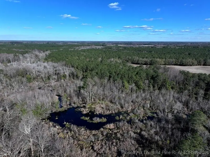 TBD Stuarts Mill Road, Fairmont, NC 28340 - Image #1