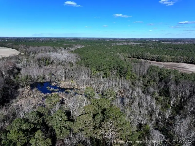 TBD Stuarts Mill Road, Fairmont, NC 28340 - Image #3