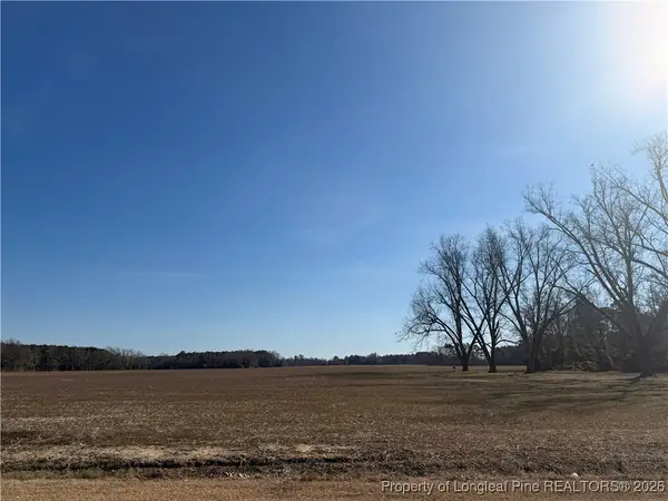 Lot B Pleasant Hope Road, Lumberton, NC 28340