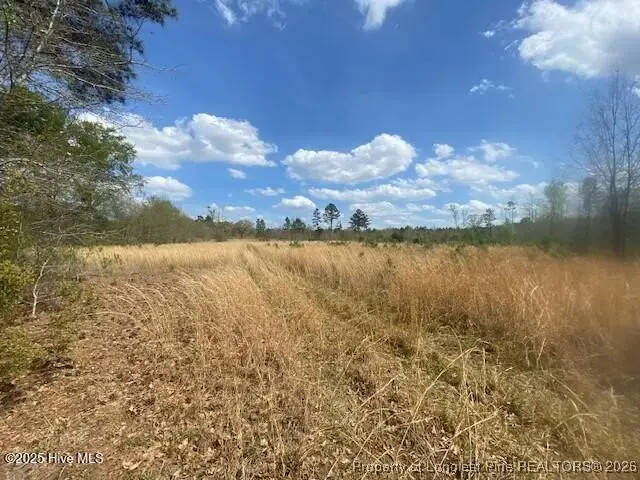 28385 Aberdeen Road, Wagram, NC 28396 - #3