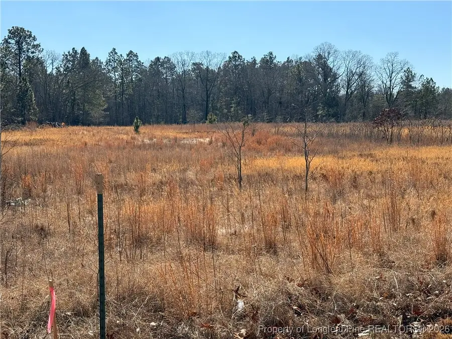 5745 Turnpike Road, Raeford, NC 28376 - Image #3