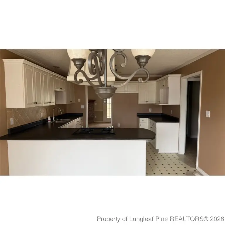 47 Hidden Cove Lane, Clinton, NC 28328 - Image #3