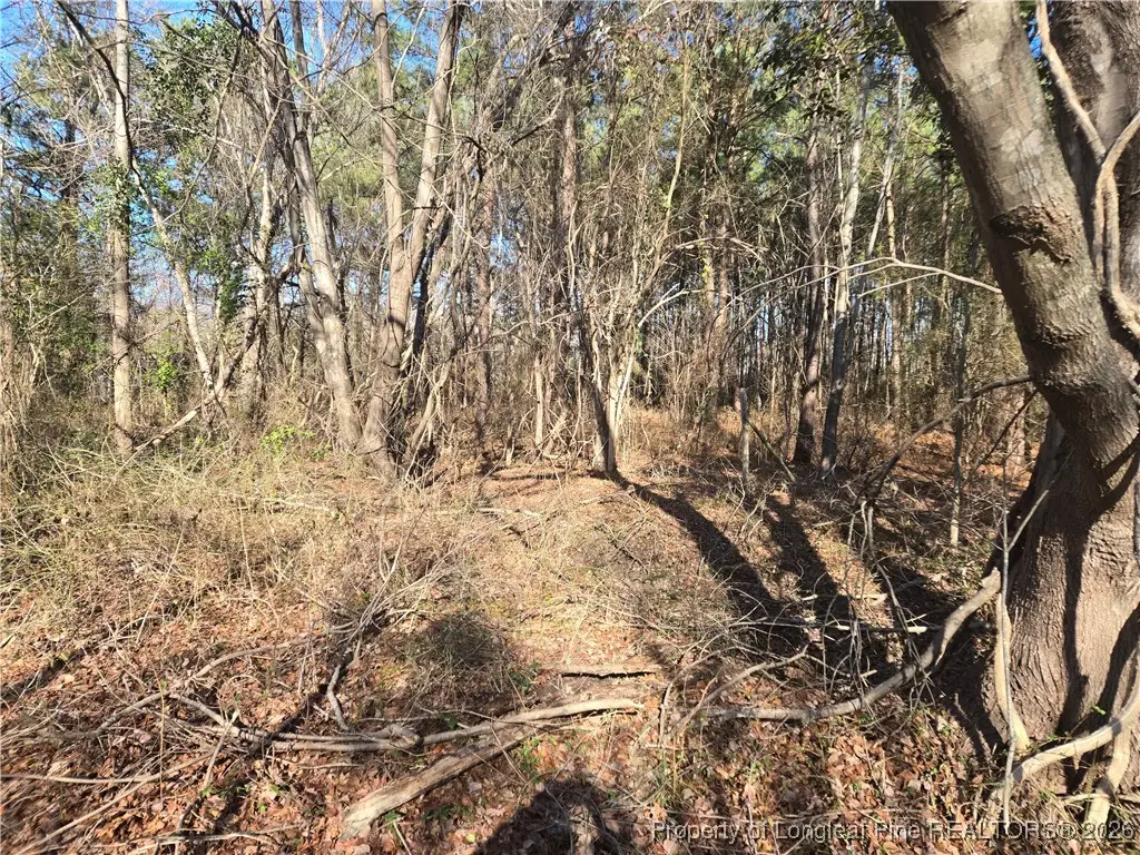 1313 Cory Circle, Eastover, NC 28312 - Image #1