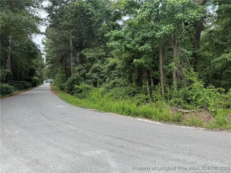 E Third Street E, Parkton, NC 28371 - Image #3