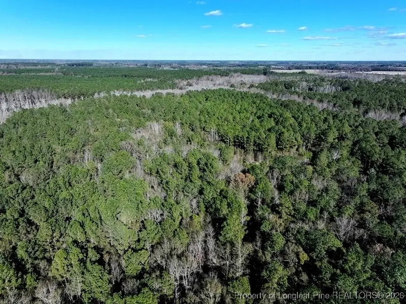 TBD Stuarts Mill Road, Fairmont, NC 28340 - Image #3