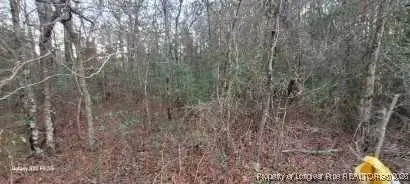 0 Melie Lee Road #1, Fayetteville, NC 28312 - Image #2