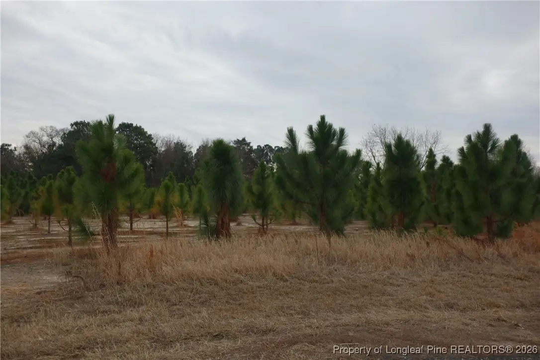 Lot 41 Stuarts Mill Road, Fairmont, NC 28340 - #1