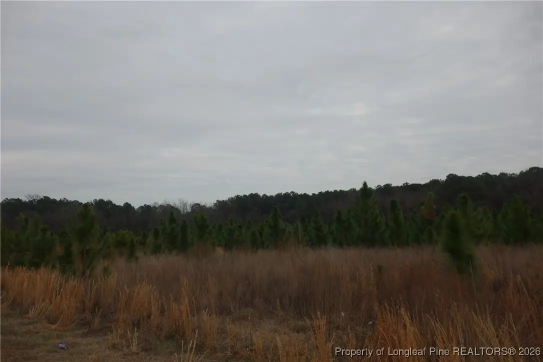 Lot 36 Stuarts Mill Road, Fairmont, NC 28340 - #1
