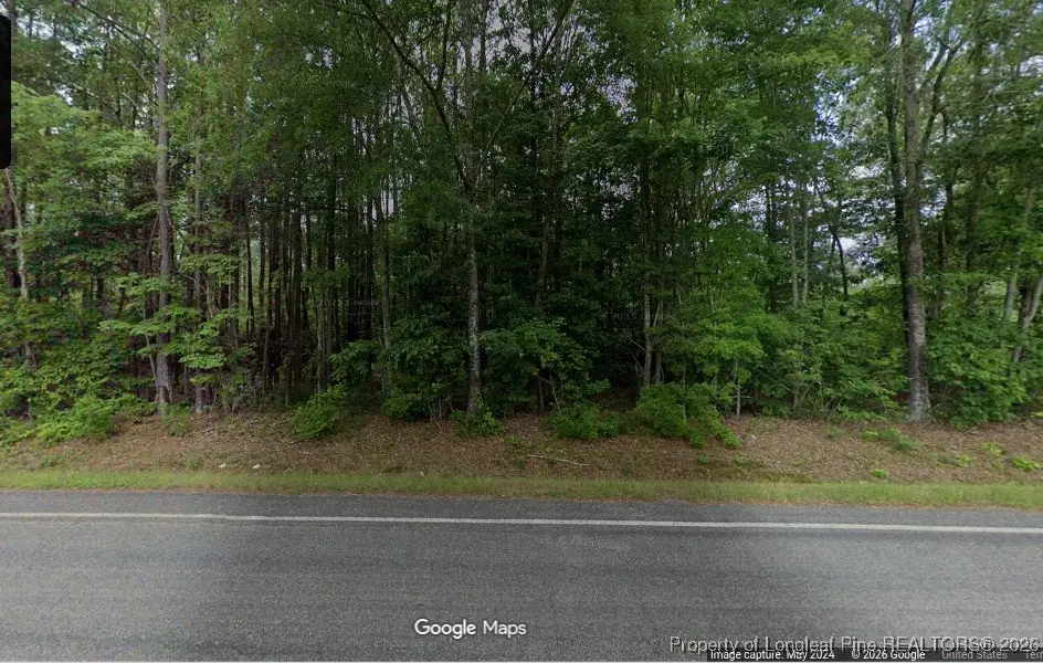 Lot 2 S Plank Road, Sanford, NC 27330 - #1