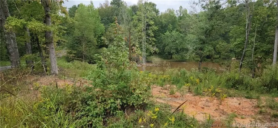 10 Jasmine Road, Fuquay Varina, NC 27526 - #2