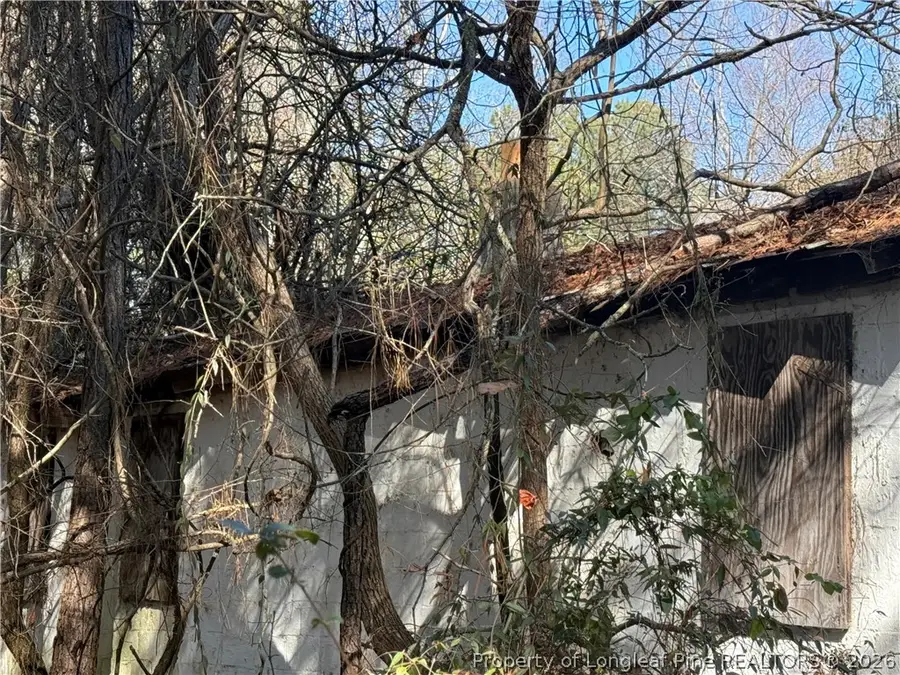 856 Harvey Lillie Avenue, Hope Mills, NC 28348 - #2