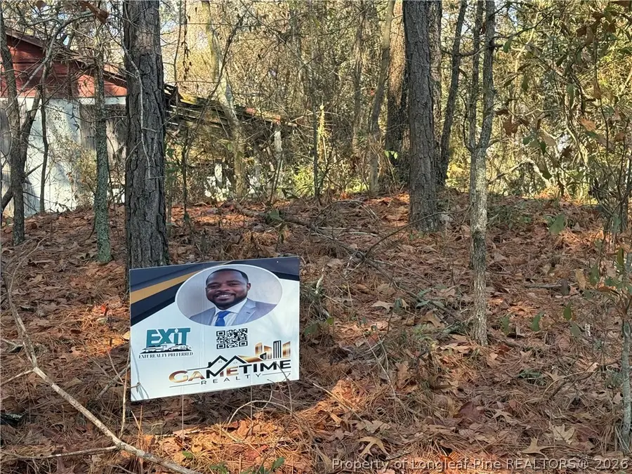 856 Harvey Lillie Avenue, Hope Mills, NC 28348 - #3