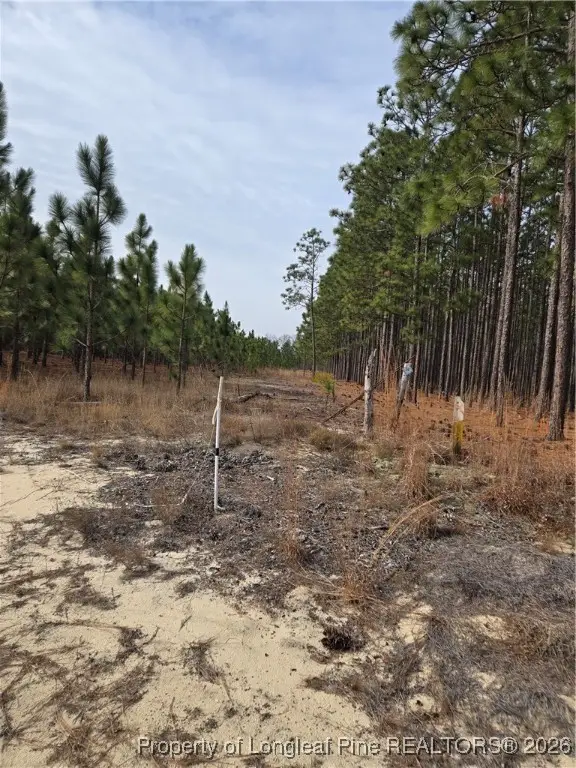 0000 Sugarloaf Road, Elizabethtown, NC 28337 - #2