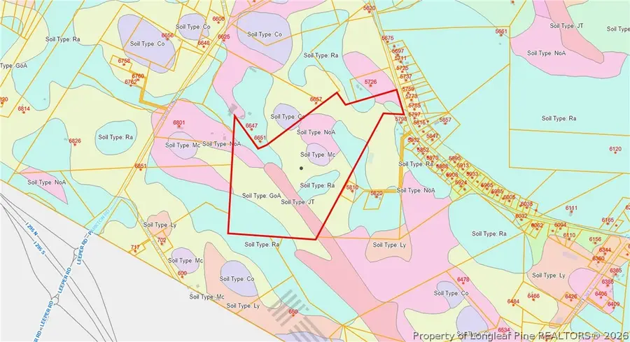 Mcdonald Road, Parkton, NC 28371 - #3