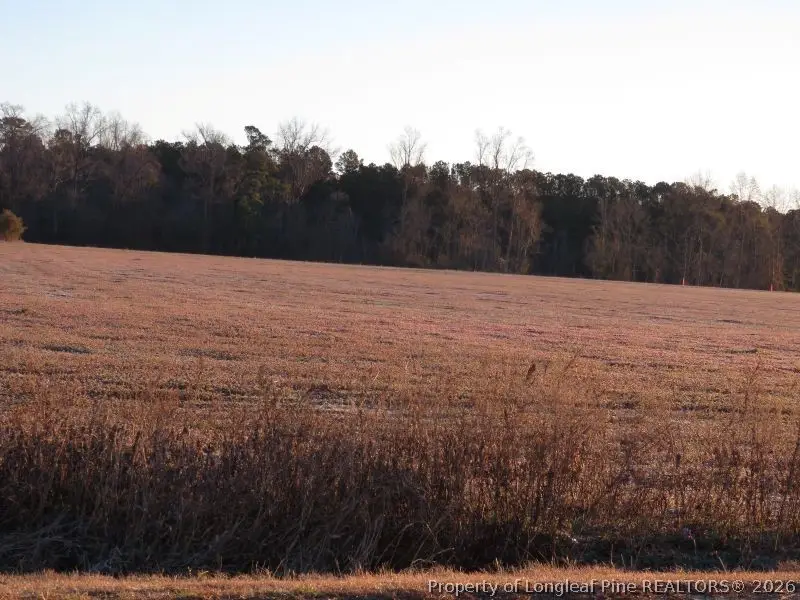 Raynham Road, Fairmont, NC 28340 - #3