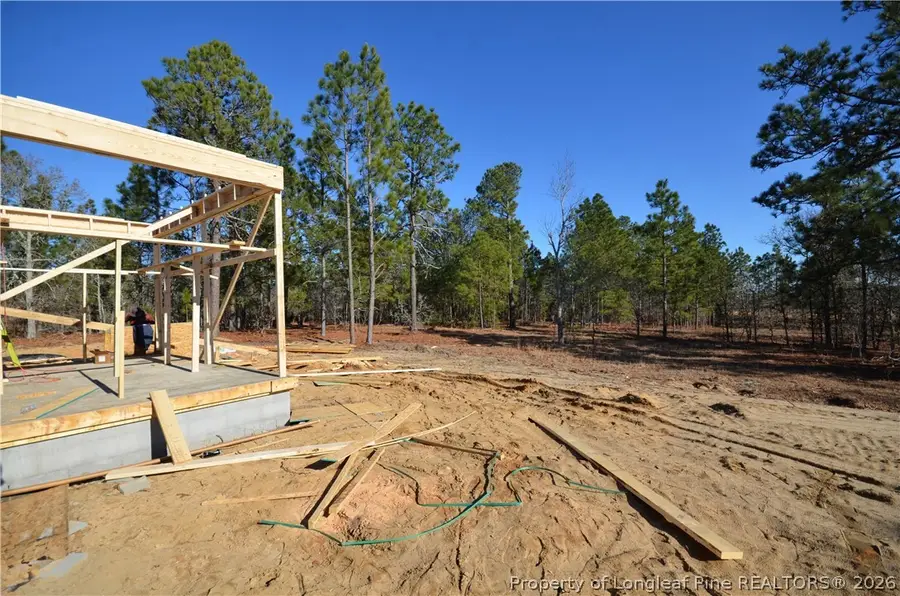 270 D L Phillips (lot 4) Lane, Broadway, NC 27505 - #3