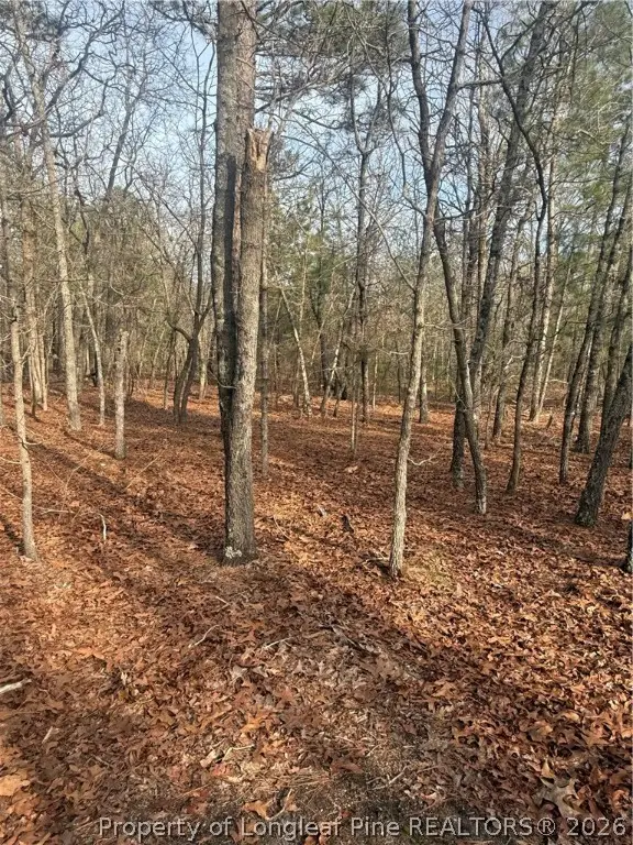 0 Gully Branch Road, Raeford, NC 28376 - #1