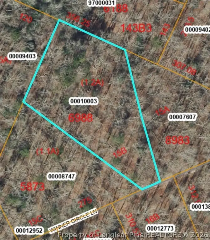 15b Winners Circ Lane, Carthage, NC 28327 - #2