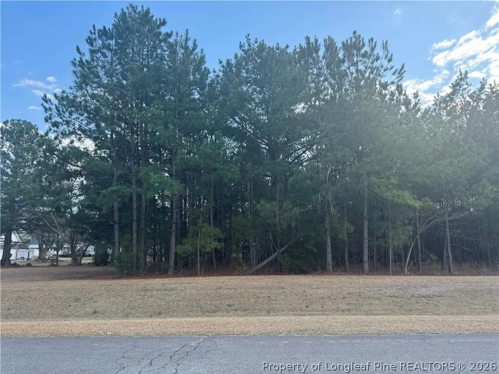 Saddlebred Lane, Raeford, NC 28376 - #1