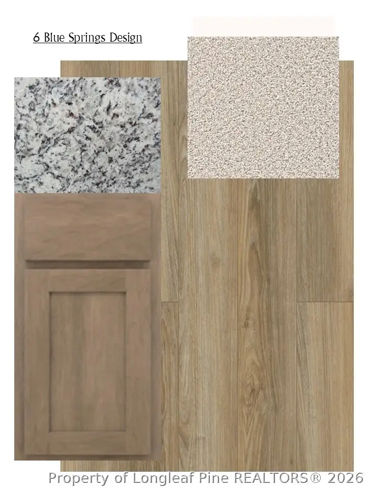 3993 Blue Springs (lot 6) Road, Red Springs, NC 28377 - #2