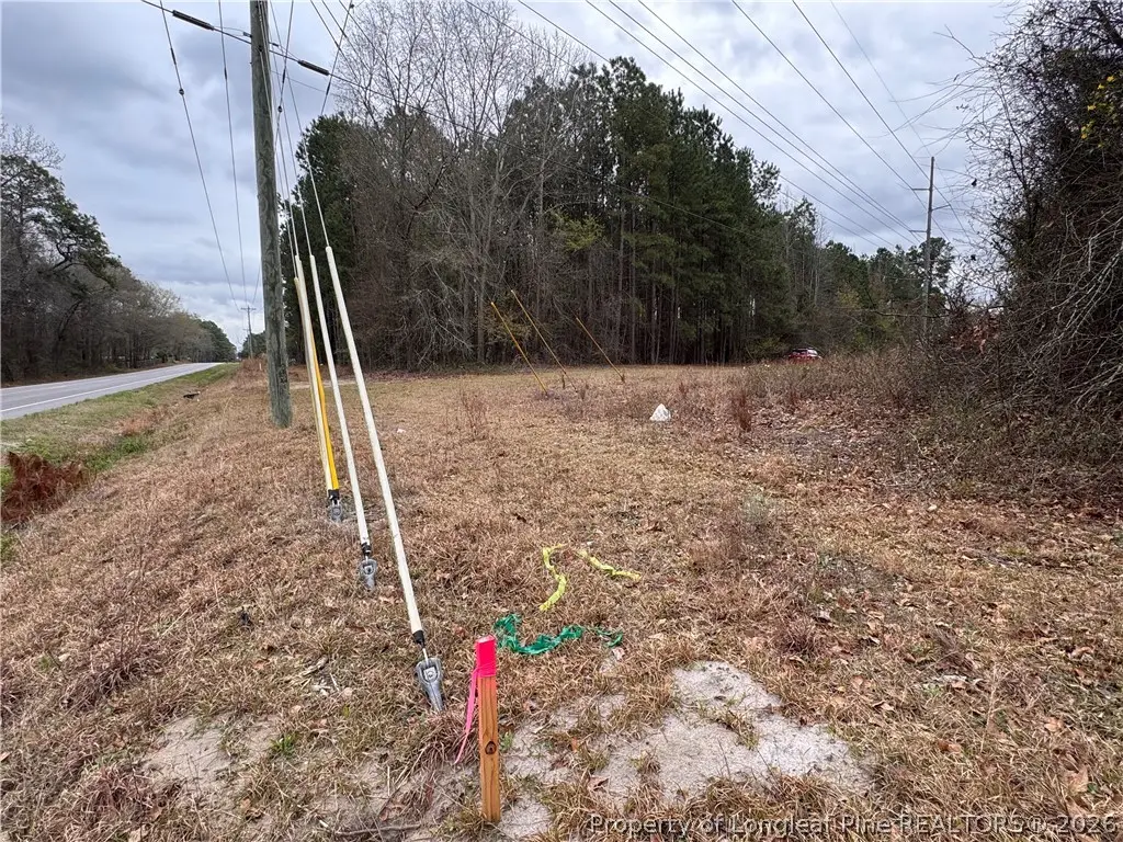 0 Brisson Road, Parkton, NC 28371 - #1