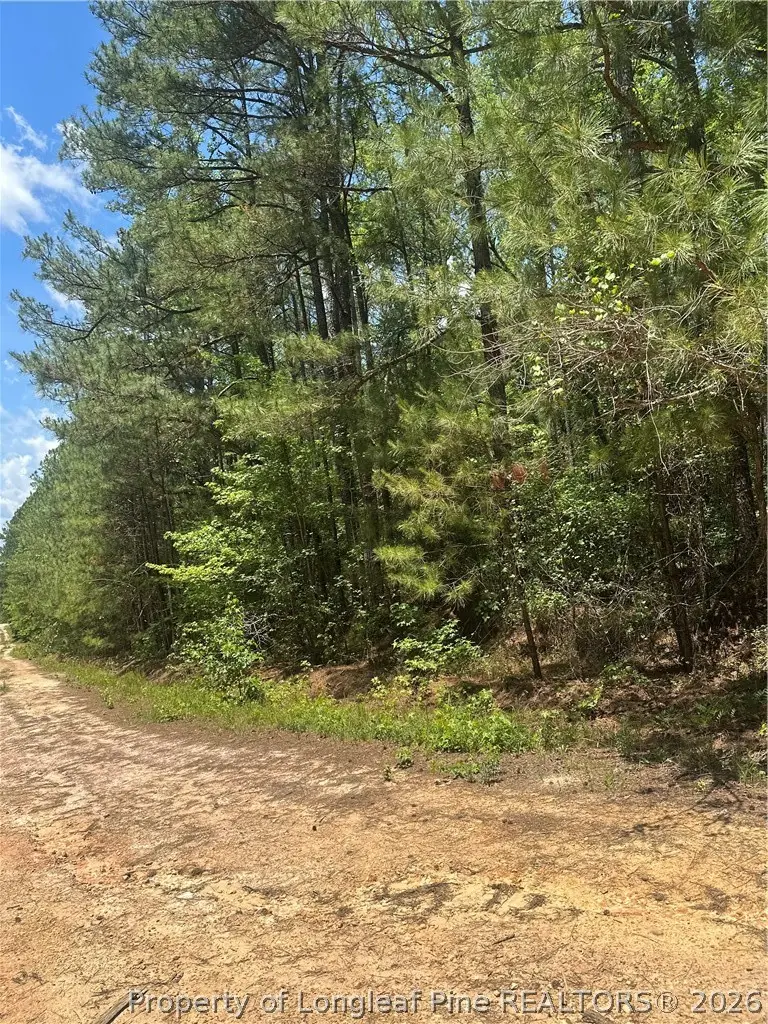 355 Marigold Lane, Vass, NC 28394 - #3